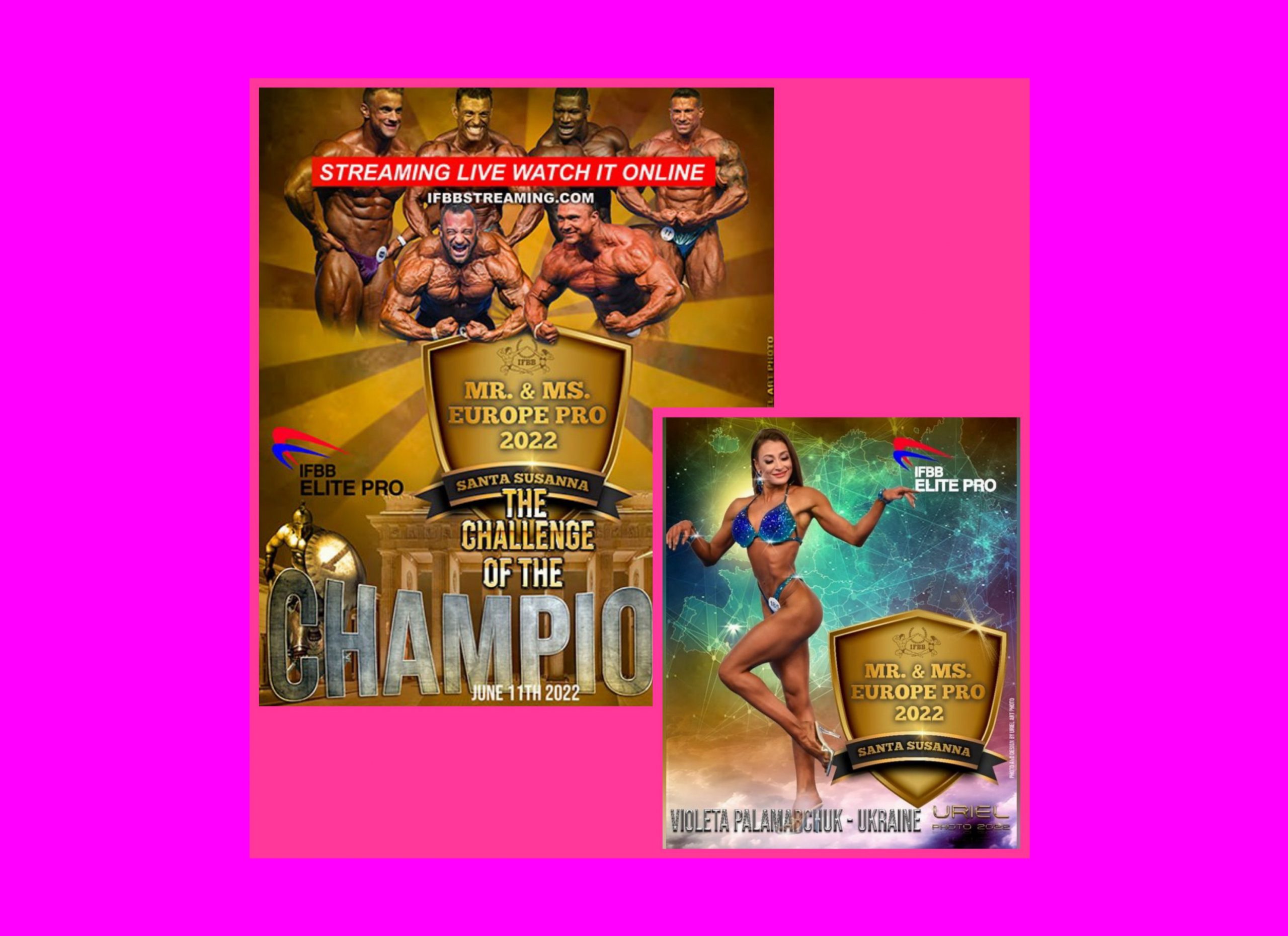 ІНФОРМАЦІЯ ПРО ТРАНСЛЯЦІЮ «MR. & MS. EUROPE PRO»